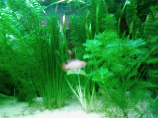SP_A0306.jpg