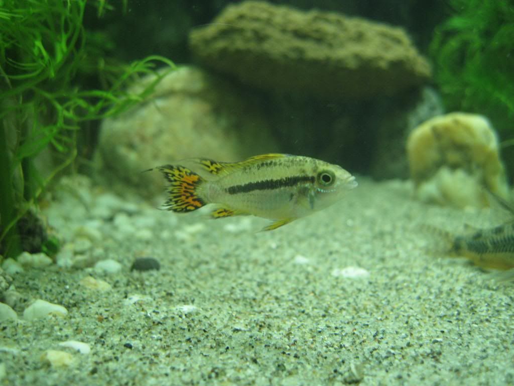 IMG_5509.jpg
