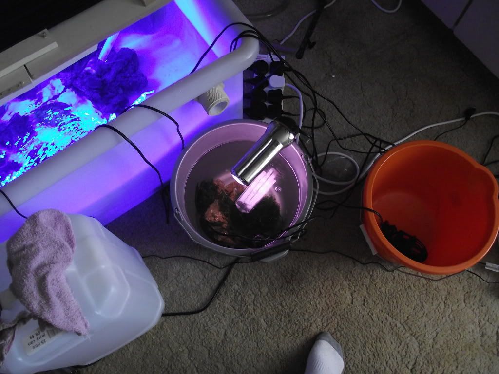DSCF1754.jpg