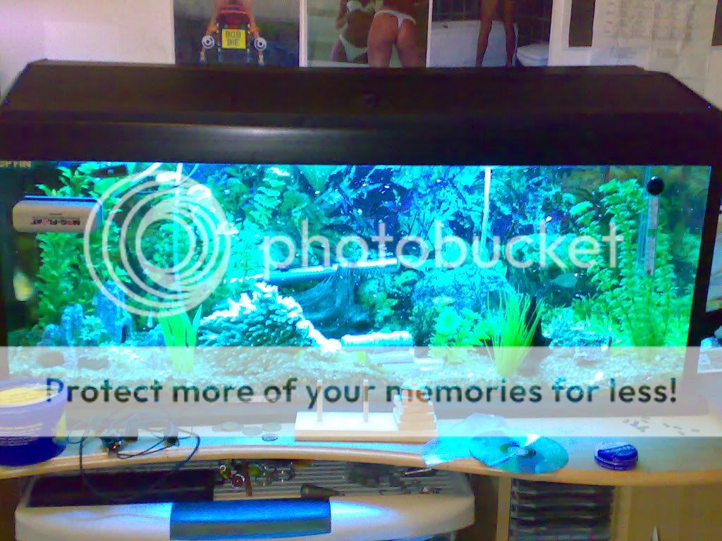 04102007208.jpg