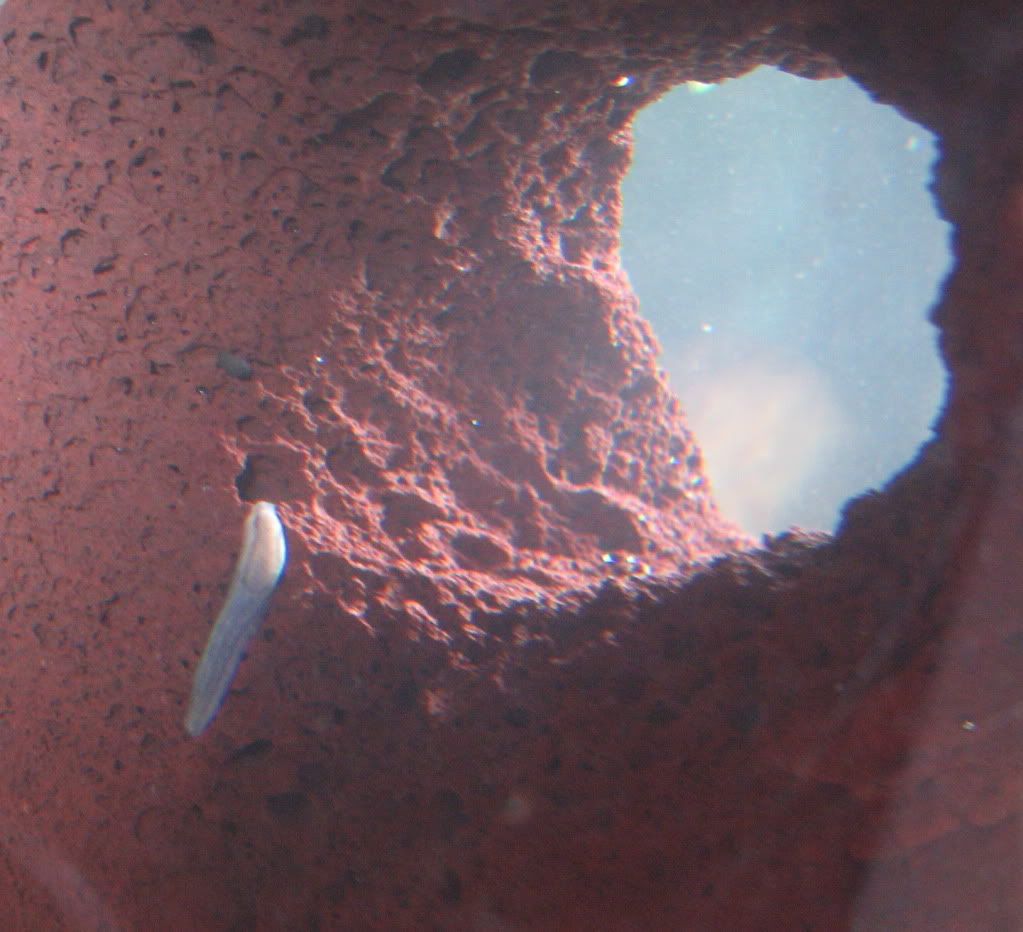 b6a4194f.jpg