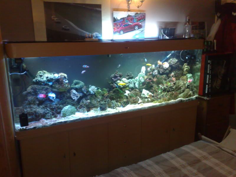 21012009860.jpg