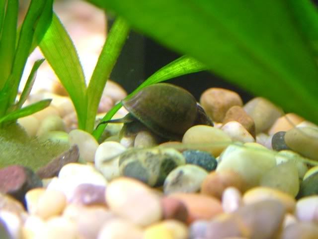 DSCF2330.jpg