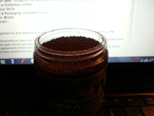 20121225_212625.jpg