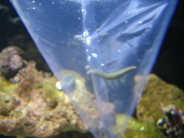 DSC01047.jpg