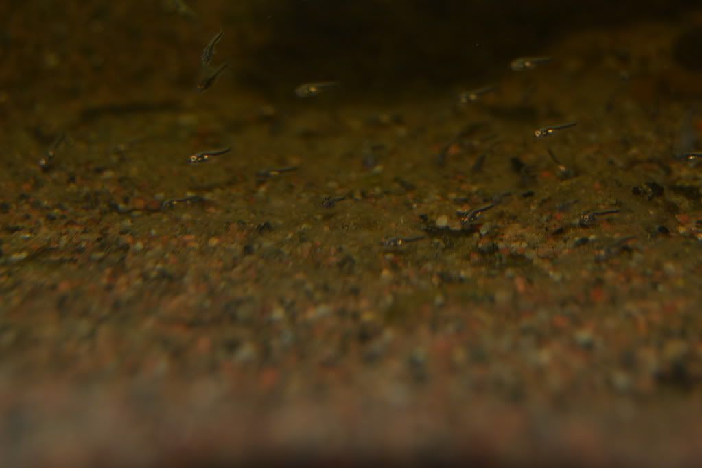 DSC_0771.jpg