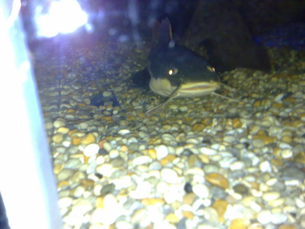 26052009390.jpg