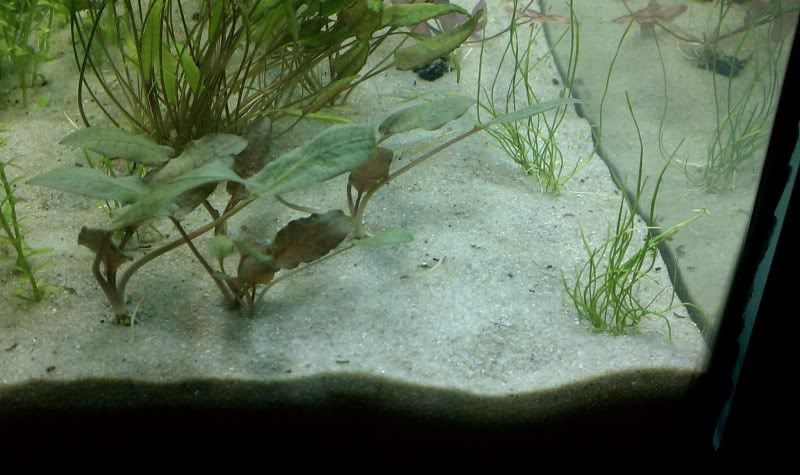 IMAG0455.jpg