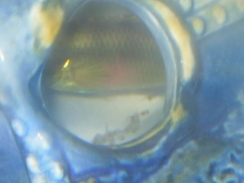 SDC10241.jpg