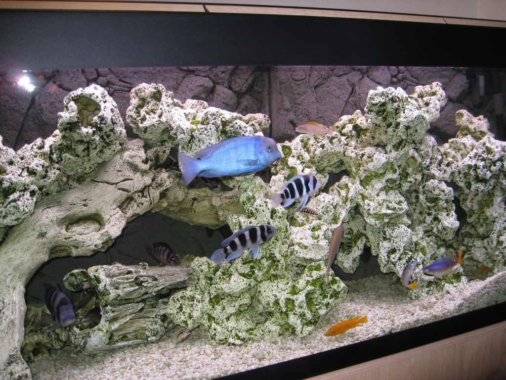 IMG_2548.jpg