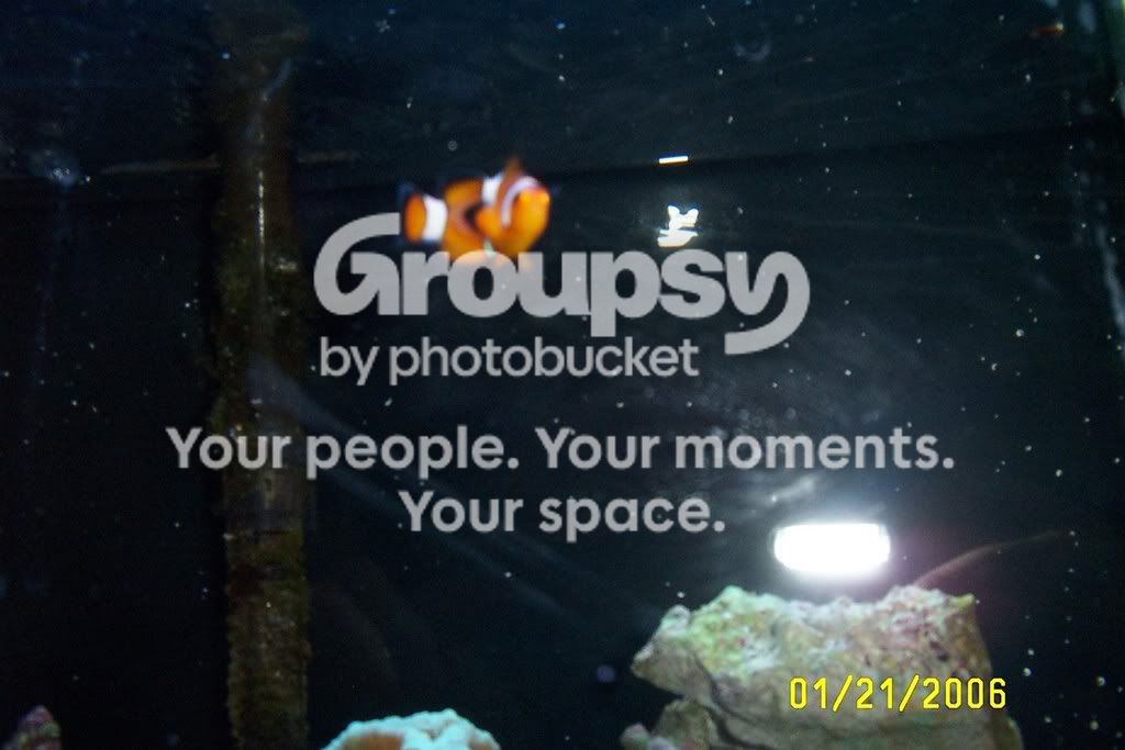 DCP_0041.jpg