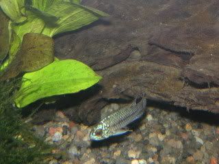PICT0427.jpg