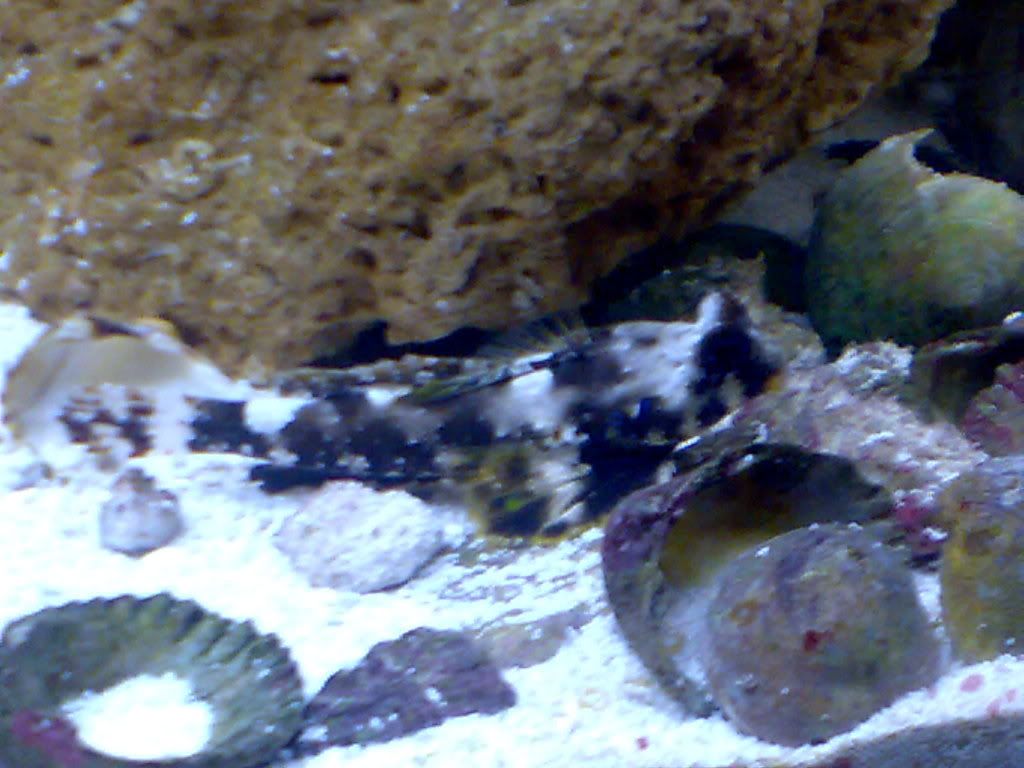 12042009398.jpg