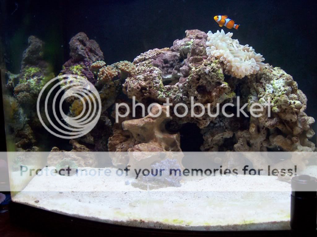 aquarium006.jpg