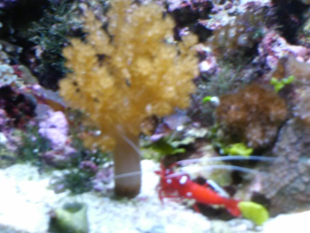 HPIM0662.jpg