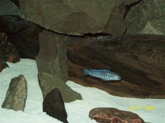102_3678Small.jpg