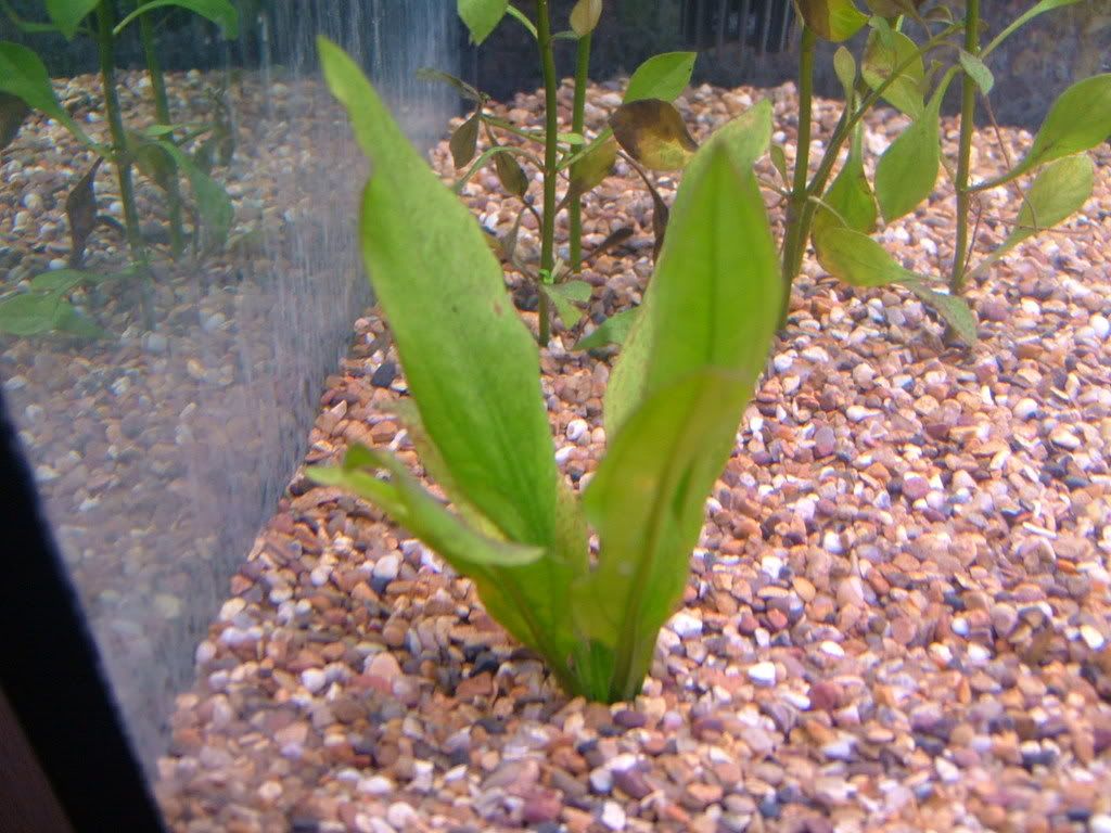 DSCF3830.jpg
