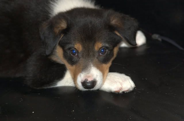 AWWWWW.jpg