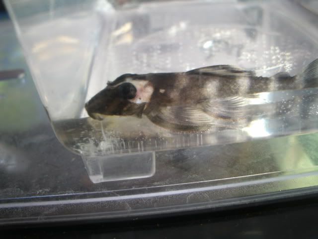 GEDC2944.jpg