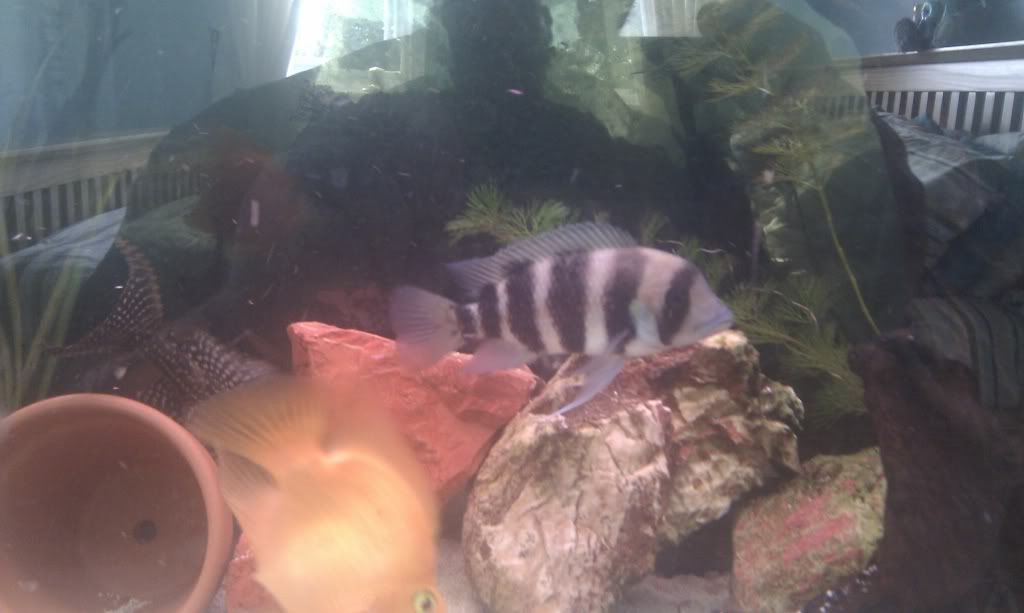 IMAG0119.jpg
