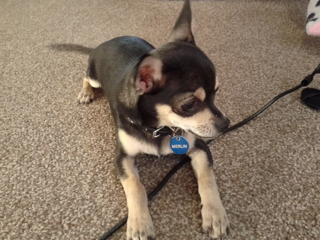 2012-07-14184416.jpg