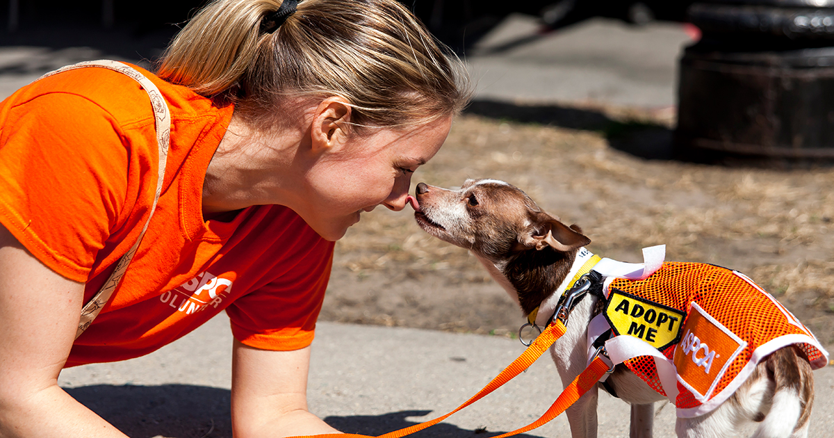 www.aspca.org