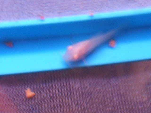 DSCF0841.jpg