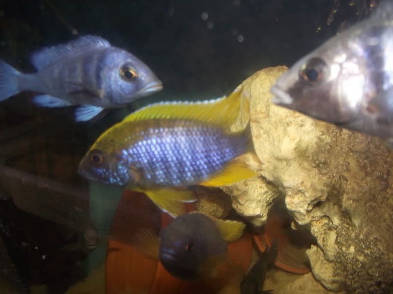 DSCF7212.jpg