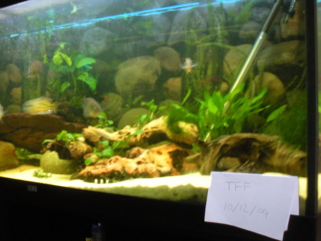 DSCN9972.jpg