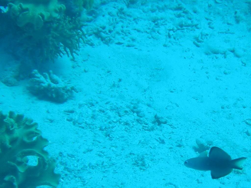 P1010102x.jpg