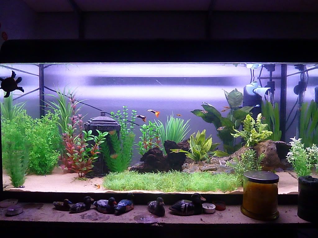 P1030228.jpg