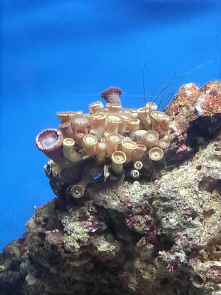20130119_190159_zps316e604d.jpg