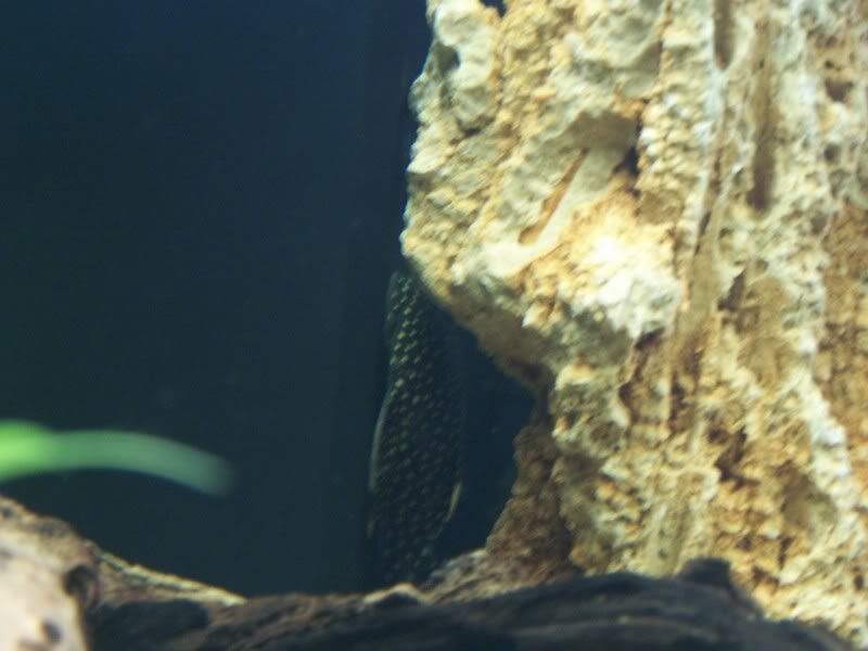 100_1138.jpg
