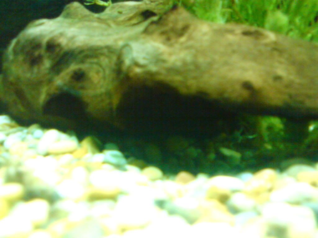 DSC01214.jpg