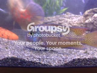20082008226.jpg