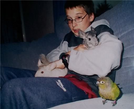 chinchillas1010.jpg