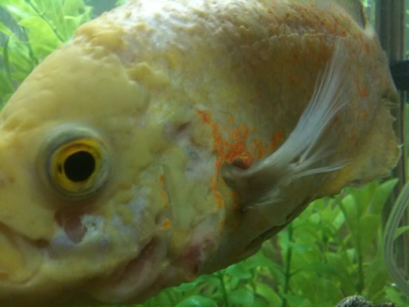photo8.jpg