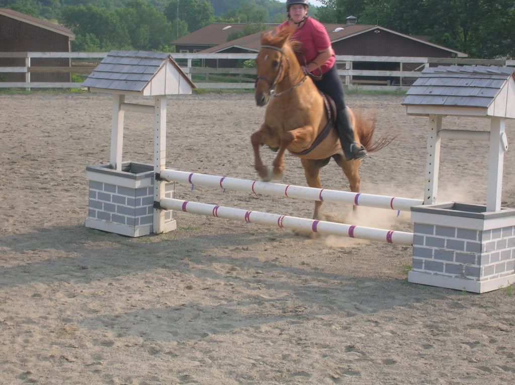 horse007.jpg
