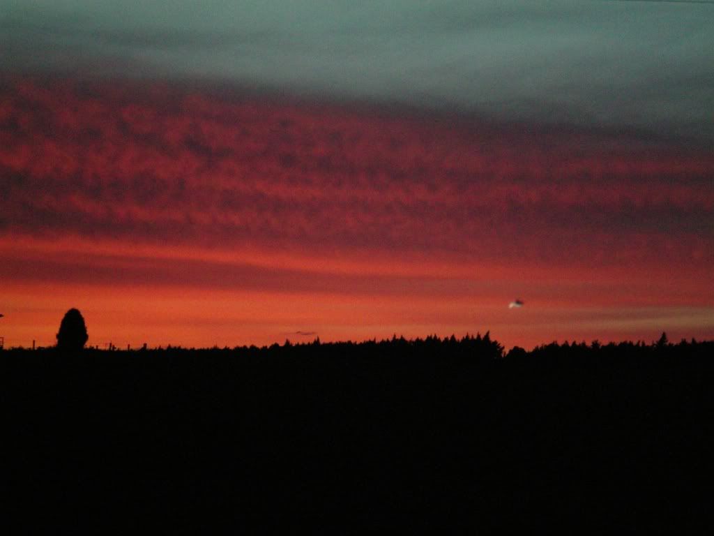 100_0021c.jpg