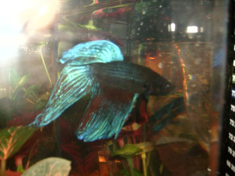 sortedphotos0800106.jpg