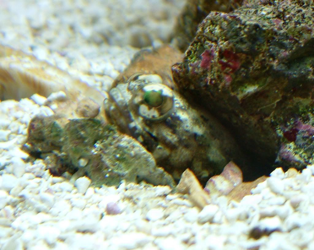 CF0092.jpg