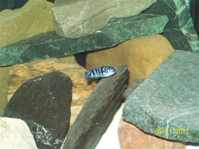 102_3677Small.jpg