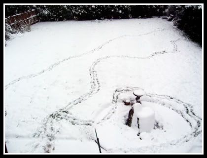 snow2.jpg