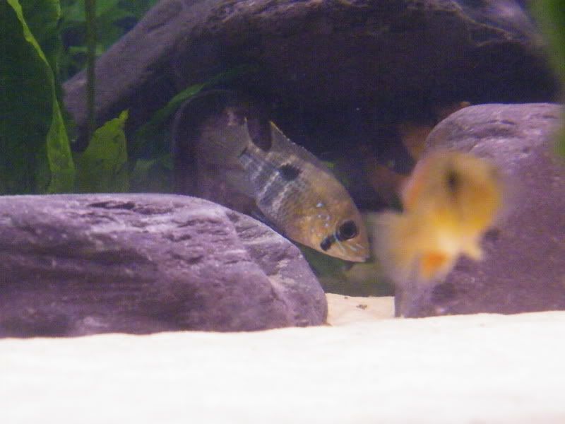DSCF4261.jpg