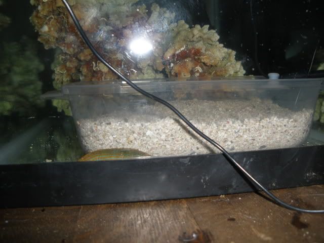 009-2.jpg