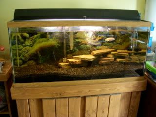 DSCN2408-1.jpg