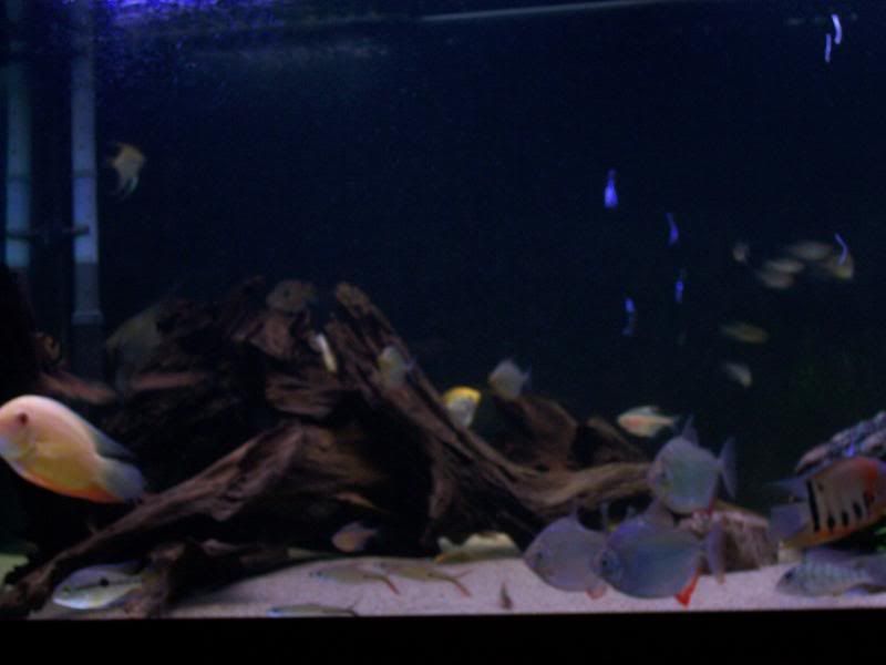 100_6050.jpg