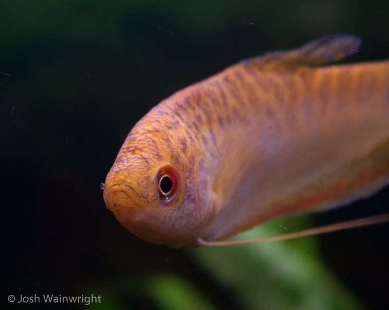 14thApril2012-5.jpg
