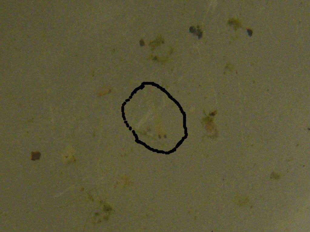 DSCF6252-1.jpg