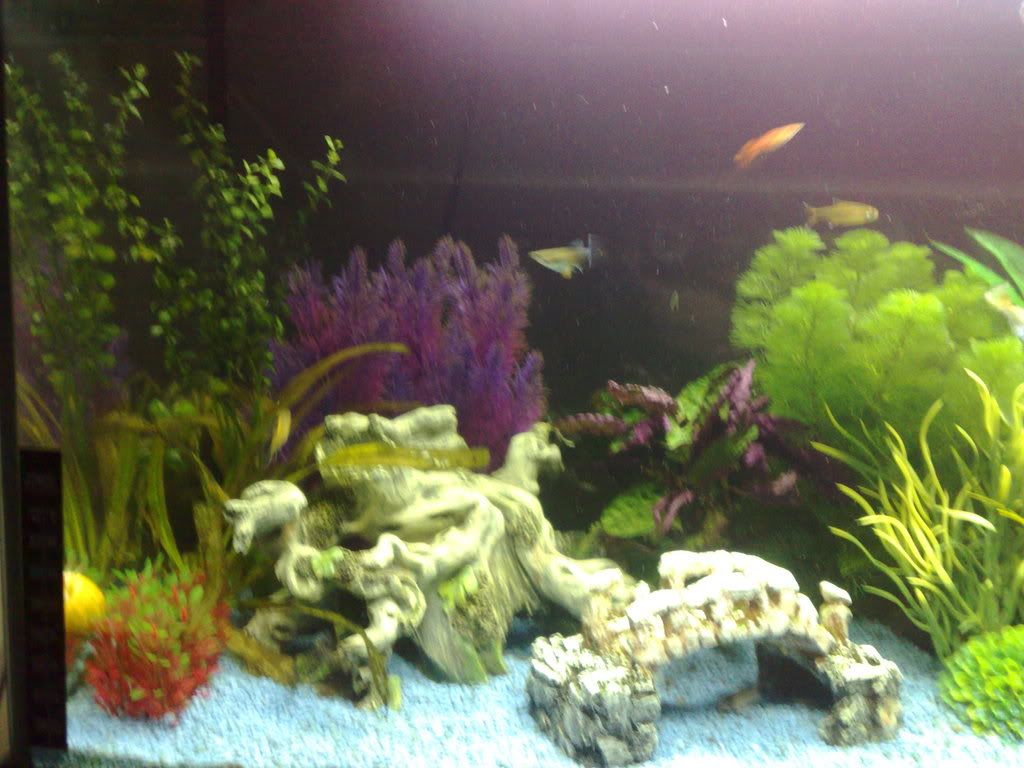28042008017.jpg